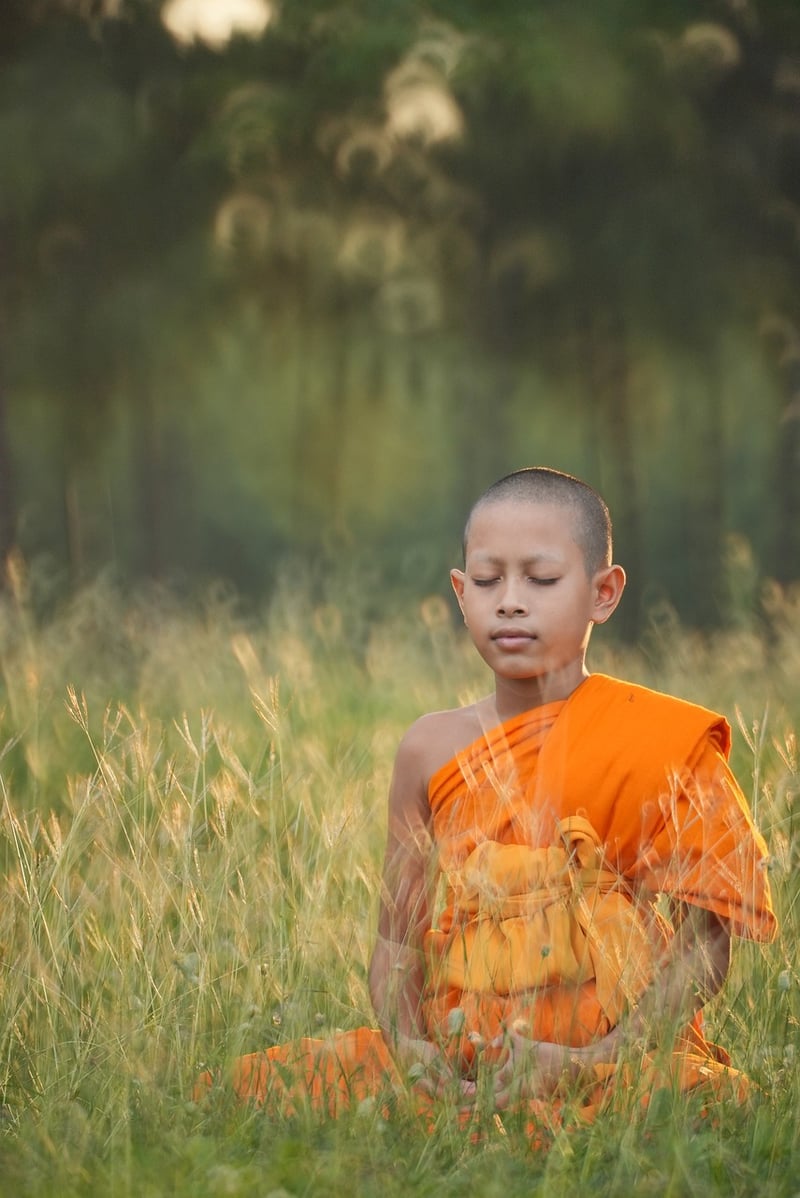 Meditation Workshop